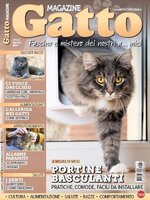 Gatto Magazine